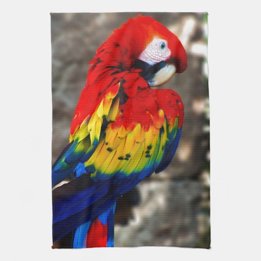 poly Parrot Theedoek (Verticaal)