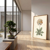 Polyanthus Botanische Canvasprint Galerij Kunst Poster