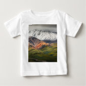 Polychrome berg, Denali NP, Alaska (Voorkant)