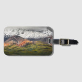 Polychrome berg, Denali NP, Alaska Bagagelabel (Voorkant (horizontaal))