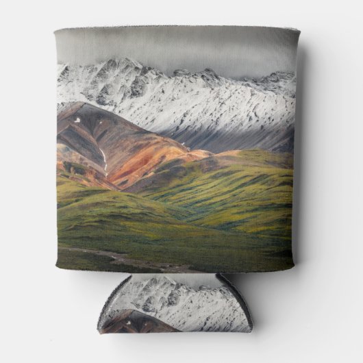 Polychrome berg, Denali NP, Alaska Blikjeskoeler (Voorkant)