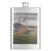 Polychrome berg, Denali NP, Alaska Flacon (Voorkant)