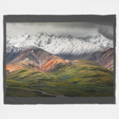 Polychrome berg, Denali NP, Alaska Fleece Deken (Voorkant (Horizontaal))