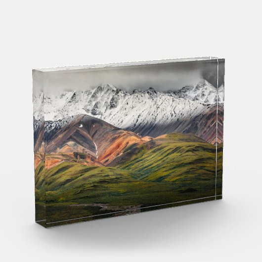 Polychrome berg, Denali NP, Alaska Fotoblokken (Links)