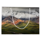 Polychrome berg, Denali NP, Alaska Groot Cadeauzakje (Achterkant)