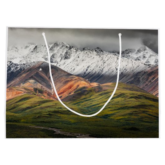 Polychrome berg, Denali NP, Alaska Groot Cadeauzakje (Achterkant)