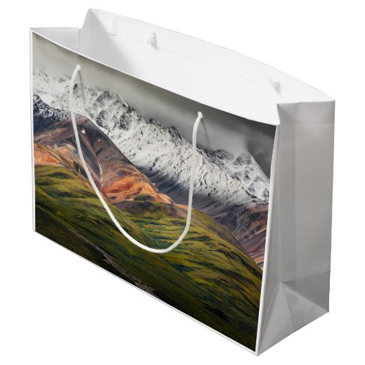 Polychrome berg, Denali NP, Alaska Groot Cadeauzakje (Achterkant Gekanteld)