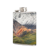 Polychrome berg, Denali NP, Alaska Heupfles (Links)