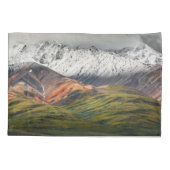 Polychrome berg, Denali NP, Alaska Kussensloop (Achterkant)