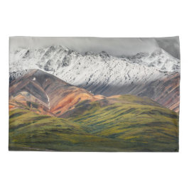 Polychrome berg, Denali NP, Alaska Kussensloop