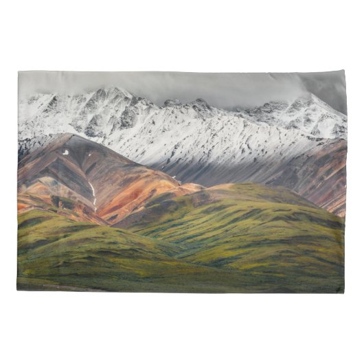 Polychrome berg, Denali NP, Alaska Kussensloop (Achterkant)