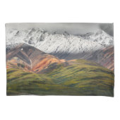 Polychrome berg, Denali NP, Alaska Kussensloop (Voorkant)