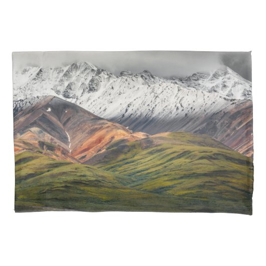 Polychrome berg, Denali NP, Alaska Kussensloop (Voorkant)