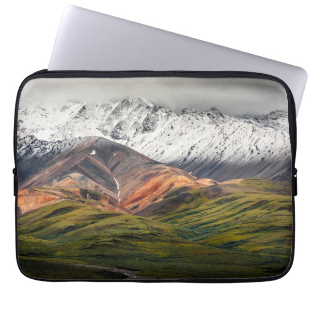 Polychrome berg, Denali NP, Alaska Laptop Sleeve (Voorkant)