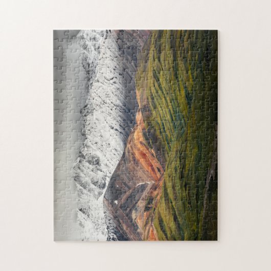 Polychrome berg, Denali NP, Alaska Legpuzzel (Verticaal)