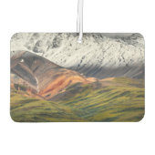 Polychrome berg, Denali NP, Alaska Luchtverfrisser (Achterkant)