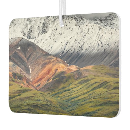 Polychrome berg, Denali NP, Alaska Luchtverfrisser (Links)