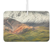 Polychrome berg, Denali NP, Alaska Luchtverfrisser (Voorkant)