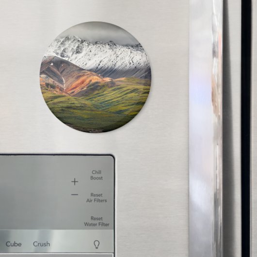 Polychrome berg, Denali NP, Alaska Magneet (Insitu (Koelkast))