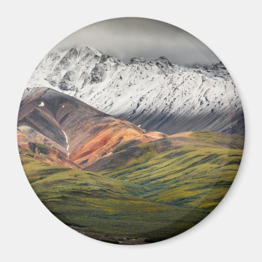 Polychrome berg, Denali NP, Alaska Magneet (Voorkant)