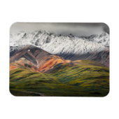 Polychrome berg, Denali NP, Alaska Magneet (Horizontaal)