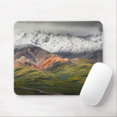 Polychrome berg, Denali NP, Alaska Muismat (Met muis)