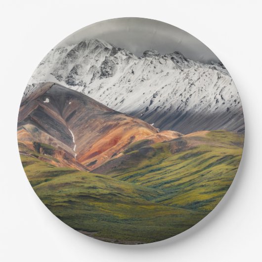 Polychrome berg, Denali NP, Alaska Papieren Bordje (Voorkant)