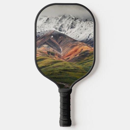 Polychrome berg, Denali NP, Alaska Pickleball Paddle (Voorkant)