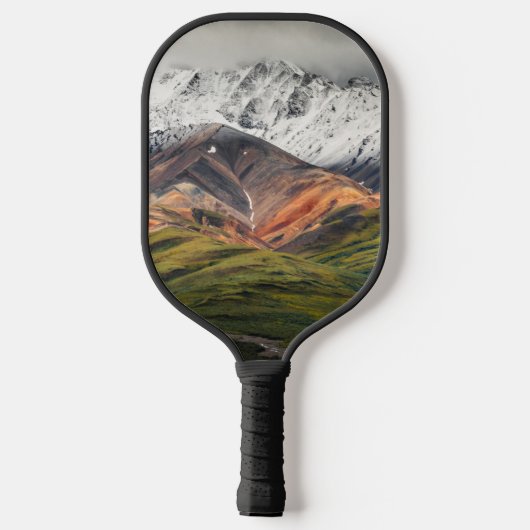 Polychrome berg, Denali NP, Alaska Pickleball Paddle (Achterkant)