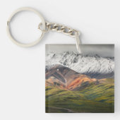 Polychrome berg, Denali NP, Alaska Sleutelhanger (Voorkant)