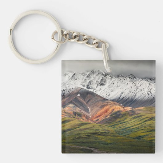 Polychrome berg, Denali NP, Alaska Sleutelhanger (Voorkant)