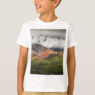 Polychrome berg, Denali NP, Alaska T-shirt
