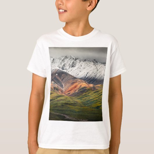Polychrome berg, Denali NP, Alaska T-shirt (Voorkant)