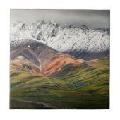 Polychrome berg, Denali NP, Alaska Tegeltje (Voorkant)