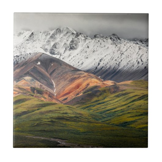 Polychrome berg, Denali NP, Alaska Tegeltje (Voorkant)