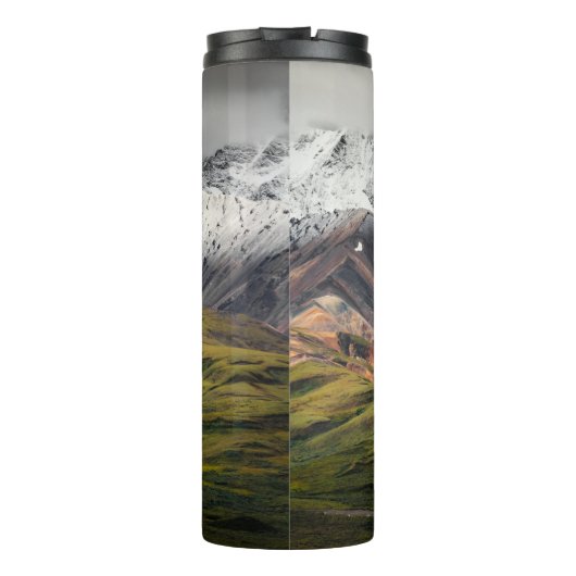 Polychrome berg, Denali NP, Alaska Thermosbeker (Achterkant)