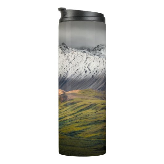 Polychrome berg, Denali NP, Alaska Thermosbeker (Geroteerd rechts)