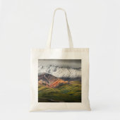 Polychrome berg, Denali NP, Alaska Tote Bag (Voorkant)