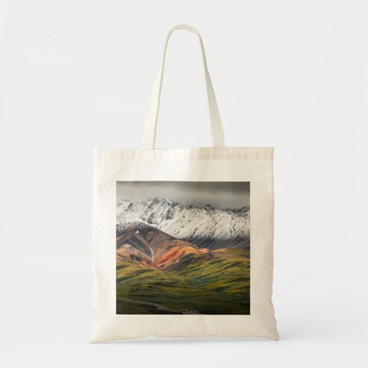 Polychrome berg, Denali NP, Alaska Tote Bag (Voorkant)