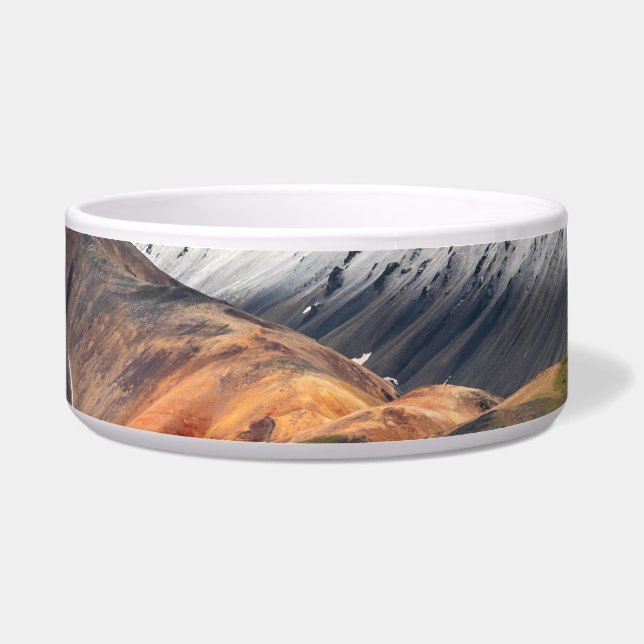 Polychrome berg, Denali NP, Alaska Voerbakje (Voorkant)