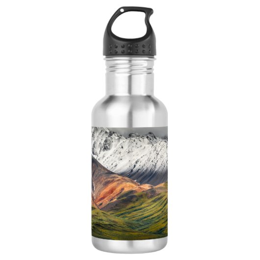 Polychrome berg, Denali NP, Alaska Waterfles (Voorkant)