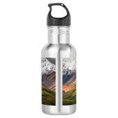 Polychrome berg, Denali NP, Alaska Waterfles (Achterkant)