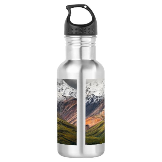 Polychrome berg, Denali NP, Alaska Waterfles (Achterkant)