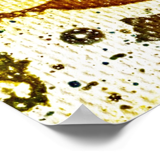 Polychromosoom #5 door Michael Moffa Poster (Hoek)