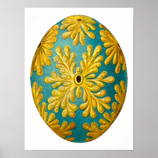 Polyclinum constellatum Ernst Haeckel Fine Art Poster (Voorkant)