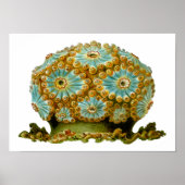 Polycyaneus Ernst Haeckel Fine Art Poster (Voorkant)