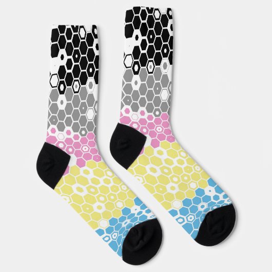 Polygender Pride Flag Sokken (Rechts)