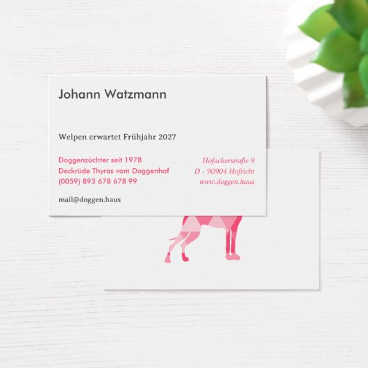 Polygon Great Dane Pink Visitekaartje (Bureau)