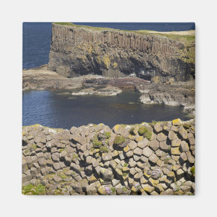 Polygonale basalt, Staffa, voor de Isle of Mull, Magneet