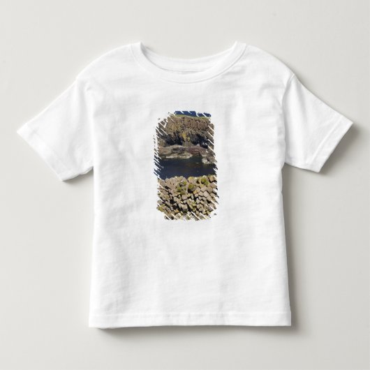 Polygonale basalt, Staffa, voor de kust van Isle o Kinder Shirts (Voorkant)